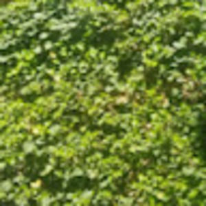 Meet your Posher, Eva